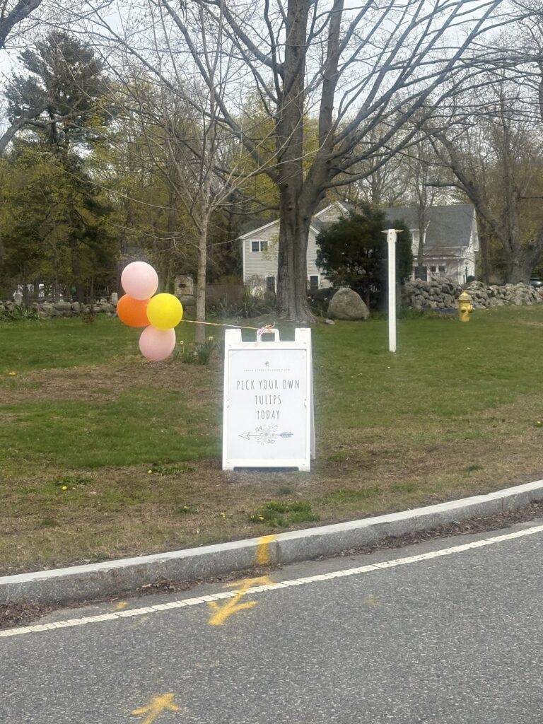 A sign advertising tulip picking