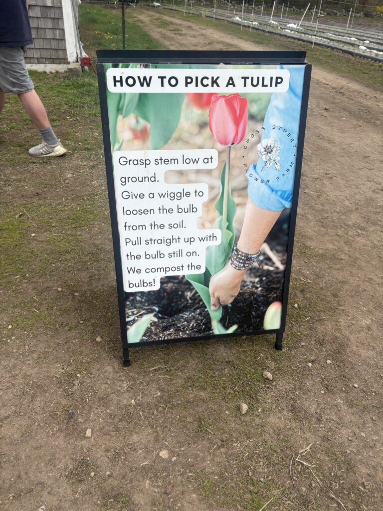 A sign with instructions on how to pick tulips while tulip picking