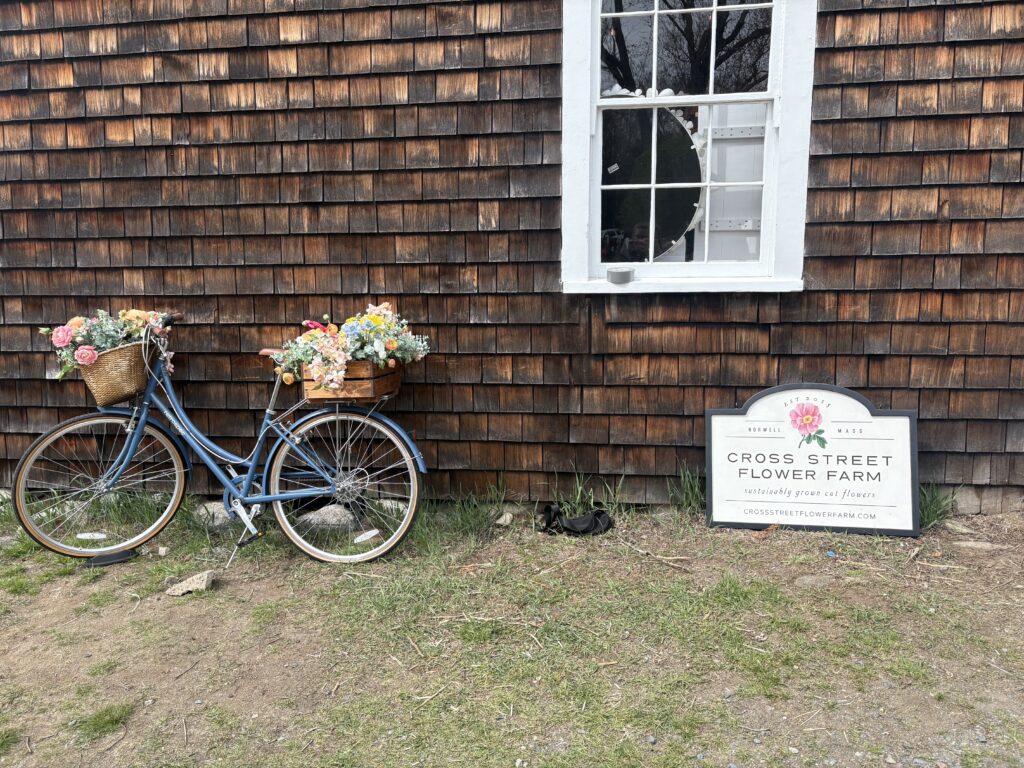 A blue Cruiser bike with flowers in the front and back basket is shown next to the Cross Street Flower Farm sign outside of the barn store