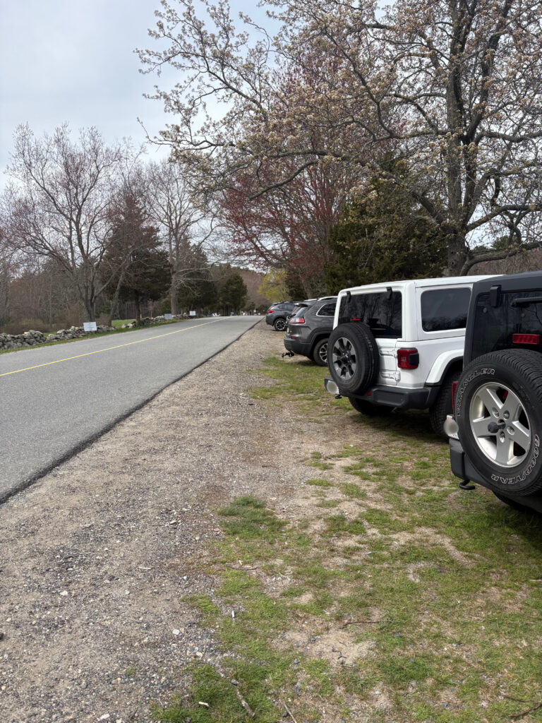 A line of cars parked on a grassy area off the side of the road