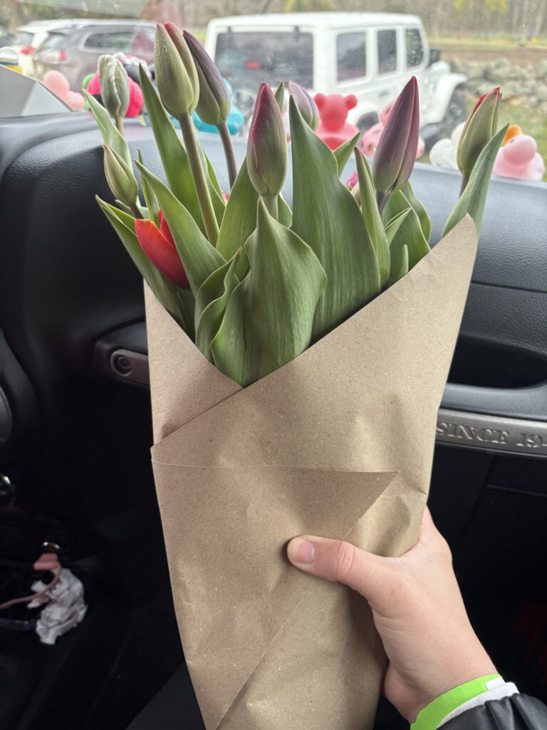 The bouquet of flowers picked during the tulip picking experience is shown wrapped in brown paper
