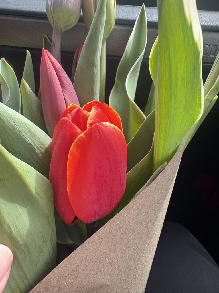 A red tulip with yellow edges in the bouquet wrapped in brown paper is shown