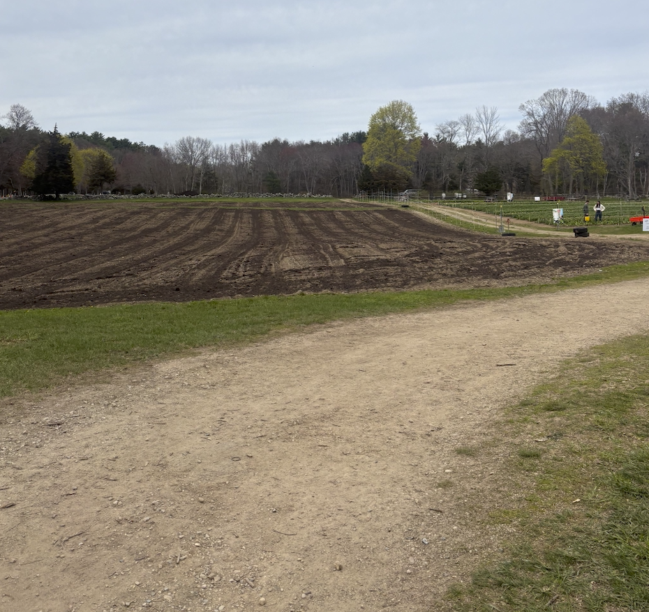 An empty field is shown